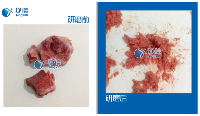 研磨破碎結締組織儀器：高通量組織研磨儀